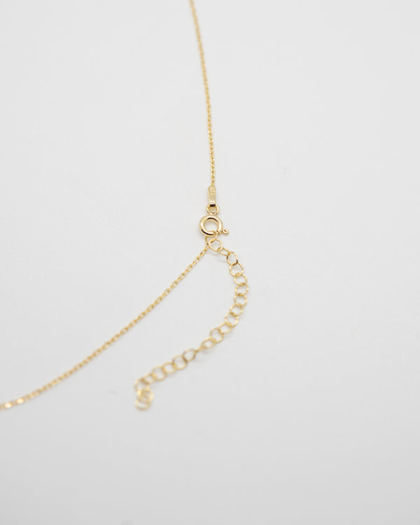 Altagracia Medallion Necklace Necklaces P&K   