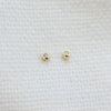 Teeny Tiny Bezel Stud Earrings Earrings P&K Yellow Gold  